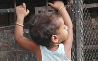 Donate to VITAL