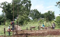 Donate to Charity Online - Donate to African Friends in Need Network