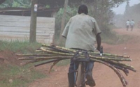 Donate to Charity Online - Donate to Abaana