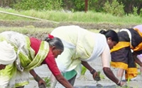 Donate to Charity Online - Donate to Anisha Microfin Association