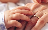 Donate to Charity Online - Donate to Alliance Defense Fund