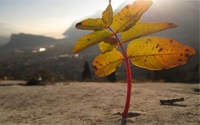 Donate to Charity Online - Donate to ActiveEarth