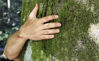 Donate to Charity Online - Donate to ActiveEarth
