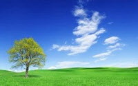 Donate to Charity Online - Donate to AbleOne Psychological Services