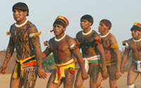 Donate to Charity Online - Donate to Amazon Conservation Team