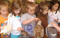 Donate to WildCare