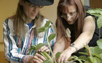 Donate to Charity Online - Donate to Ability Society