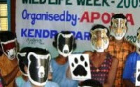 Donate to Charity Online - Donate to Action For Protection Of Wild Animals