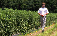 Donate to Charity Online - Donate to American Farmland Trust
