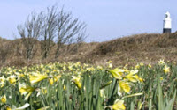 Donate to Charity Online - Donate to Alderney Wildlife Trust