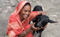 Donate to Charity Online - Donate to endPoverty.org