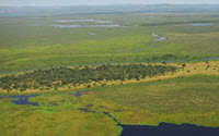 Donate to Charity Online - Donate to African Parks Network