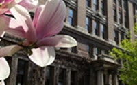 Donate to The Rockefeller University