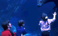 Donate to Charity Online - Donate to Alaska Sealife Center