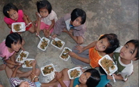 Donate to Serving Our World