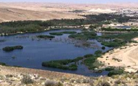 Donate to Charity Online - Donate to ATID BAMIDBAR