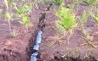 Online Fundraising - Donate to Wetlands International Online Fundraising - Donate to Wetlands International