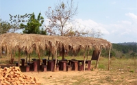 Charity Giving Online - Donate to Malawi Orphan Care Trust Fund Charity Giving Online - Donate to Malawi Orphan Care Trust Fund