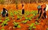 Online Fundraising - Donate to Acumen Fund Online Fundraising - Donate to Acumen Fund
