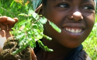 Charity Giving Online - Donate to The Vi Agroforestry Programme Charity Giving Online - Donate to The Vi Agroforestry Programme