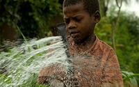 Online Fundraising - Donate to The Vi Agroforestry Programme Online Fundraising - Donate to The Vi Agroforestry Programme